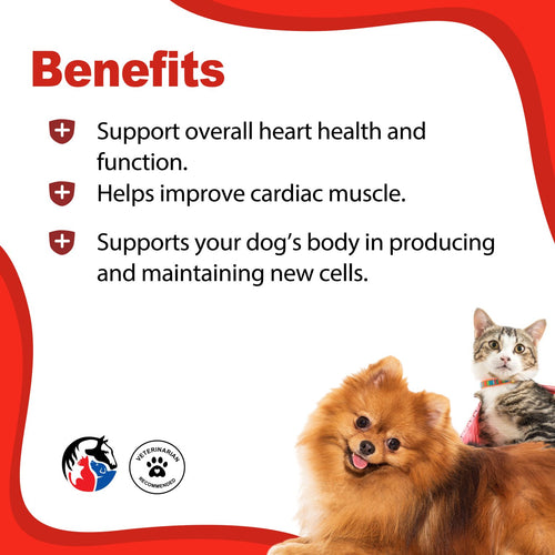 Animal Science Healthy Heart