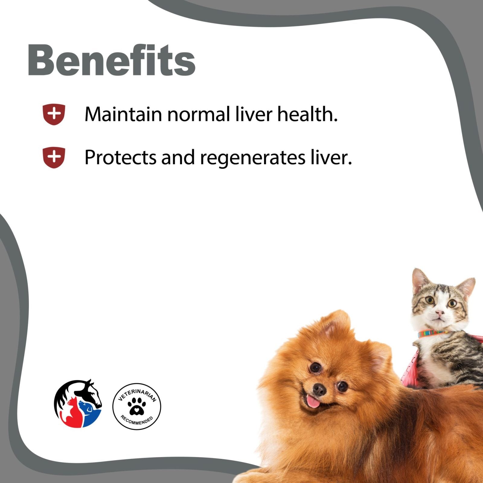 Animal Science Healthy Liver 60 Chewables